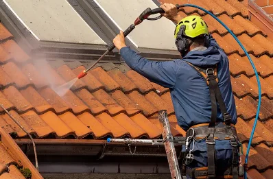 Démoussage et hydrofuge de toiture à Frontonas